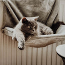 Ne&No - Adjustable Radiator Cat Bed-9