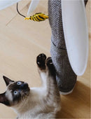United Pets - Margareth-6