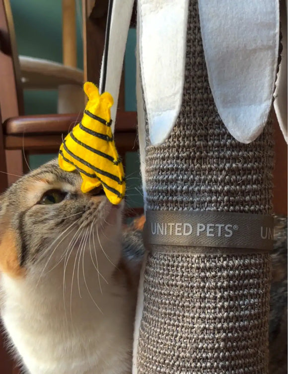 United Pets - Margareth