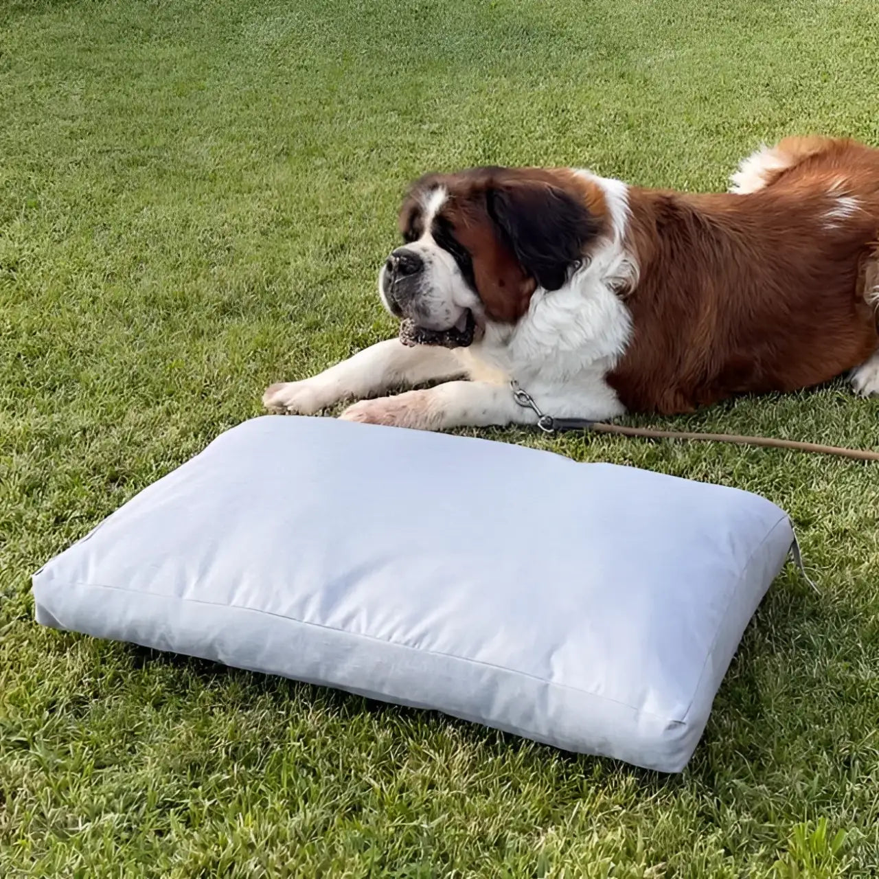 Materassino Dog Bed Easy Way - Cucce