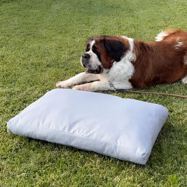 Materassino Dog Bed Easy Way - Cucce