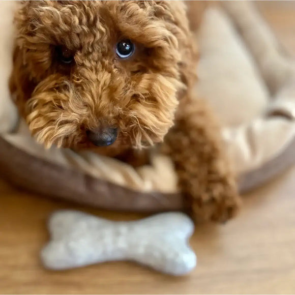 Mishum - Felt Bone - Osso - Giochi