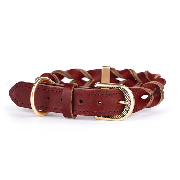 My Family - Collare Ascot - Rosso / S - Collari