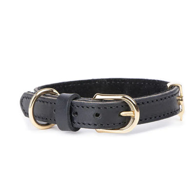 My Family - Collare Ginevra - Nero/Gold / S - Collari