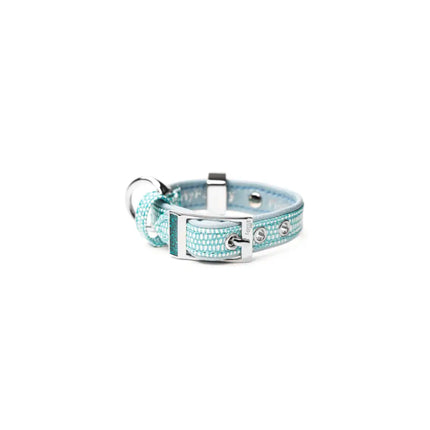 My Family - Collare Saint Tropez - Turchese / 3XS - Collari