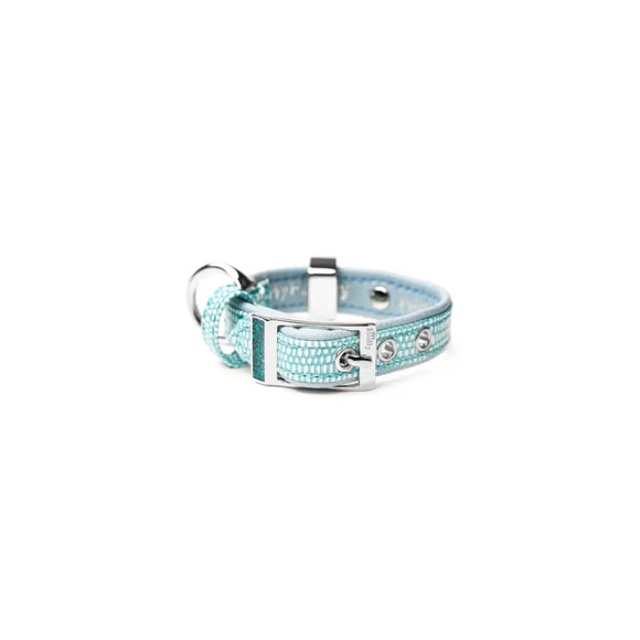My Family - Collare Saint Tropez - Turchese / 3XS - Collari