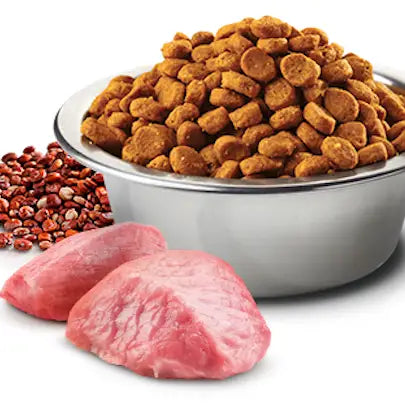 N&D Cat Quinoa Weight Management - 5 Kg - Super Premium