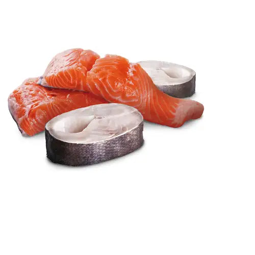 N&D DOG OCEAN Salmone e Merluzzo - Super Premium