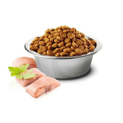 N&D Ocean Cat Aringa e arancia - Super Premium