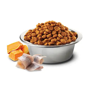 N&D Ocean Cat Aringa Zucca e Arancia - 5 Kg - Super Premium
