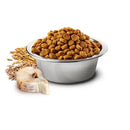 N&D Ocean cat Merluzzo e Arancia - Super Premium