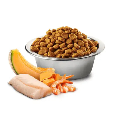 N&D Ocean Cat Merluzzo Gamberetto Zucca e Melone Kitten - 1,5 Kg - Super Premium