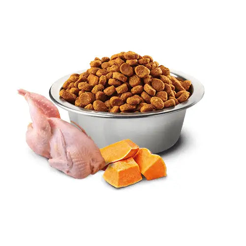N&D Pumpkin Cat Quaglia Zucca e Melograno - 1,5 Kg - Super Premium