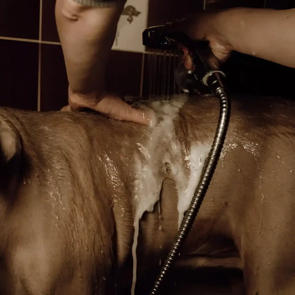 Nellumbo - Shampoo in polvere schiumogena