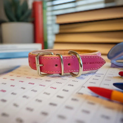 Pet Boutique - Collare in cuoio Urban - Collari