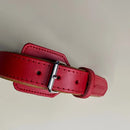 Pet Boutique - Collare Linea Miami - Collari
