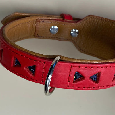 Pet Boutique - Collare Linea Miami - Collari