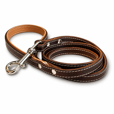 Pet Boutique - Guinzaglio in cuoio Urban - Testa di Moro / S - Guinzagli