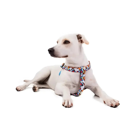 Pettorine Charlie Brown Zig Zag