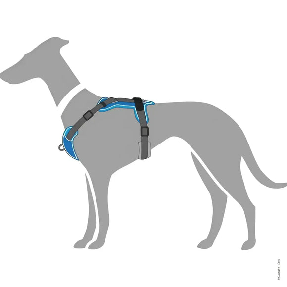 Pettorine Divo Azzurro e Grigio
