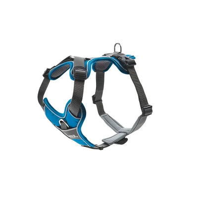 Pettorine Divo Azzurro e Grigio - S-M 52-68 cm