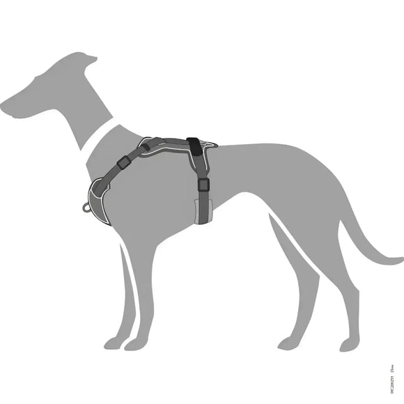 Pettorine Divo Grigio