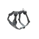 Pettorine Divo Grigio - XS 34-47 cm