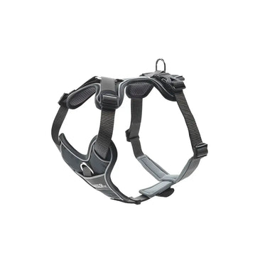 Pettorine Divo Grigio - XS 34-47 cm