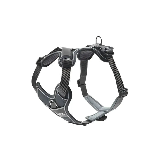 Pettorine Divo Grigio - XS 34-47 cm