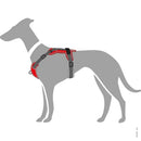 Pettorine Divo Rosso e Grigio