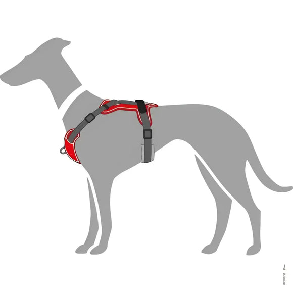 Pettorine Divo Rosso e Grigio