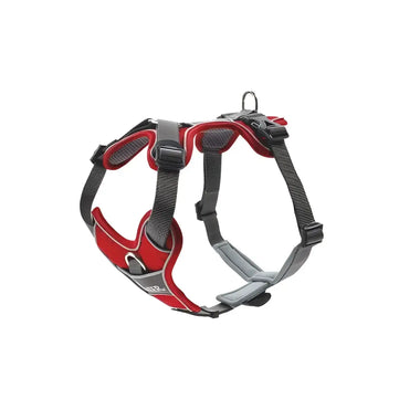 Pettorine Divo Rosso e Grigio - S-M 52-68 cm