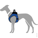 Pettorine Hilo Blu con bordi riflettenti