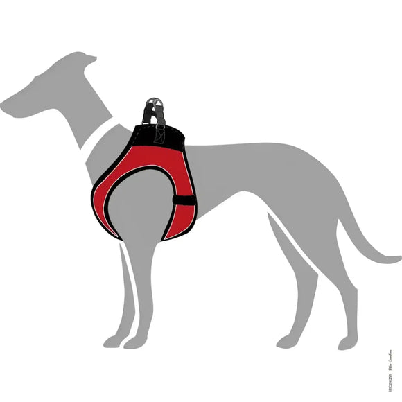 Pettorine Hilo Rosso con bordi riflettenti - XXS 31-33 cm