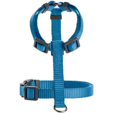 Pettorine London Azzurro