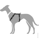 Pettorine London Nero