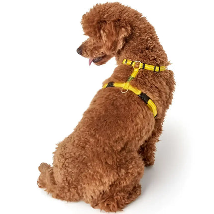 Pettorine Tripoli Giallo con inserti riflettenti