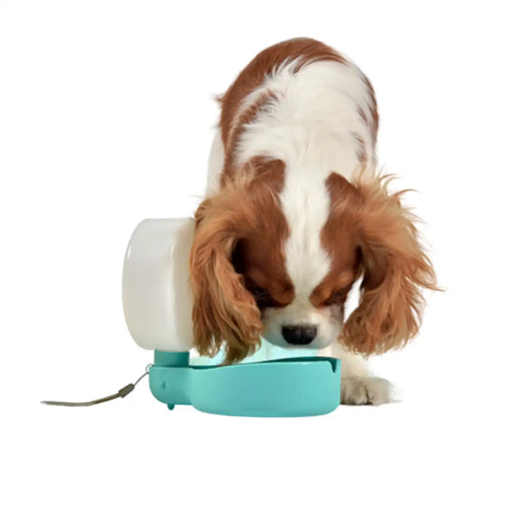 United Pets Pingui Kompakte Hunde-Trinkflasche