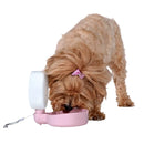 United Pets Pingui Kompakte Hunde-Trinkflasche-2