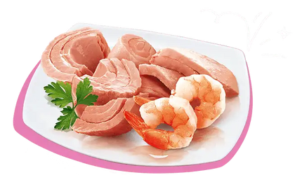 Petreet A03 Atún rosa y gamberetti 70gr - 0