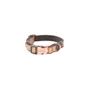 Rogz Collare Urban Oro - Collari