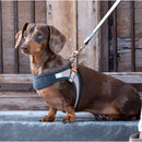Rogz Pettorina Fast Fit Rosa - Pettorine