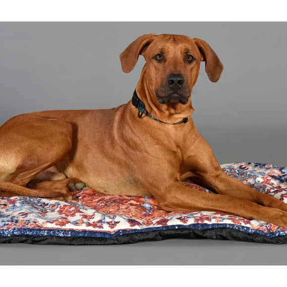 Seletti - Tappeto Pets (R)evolution - Cucce