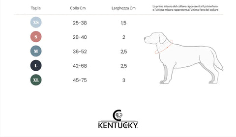 Kentucky - Collare per cani Pied-de-Poule