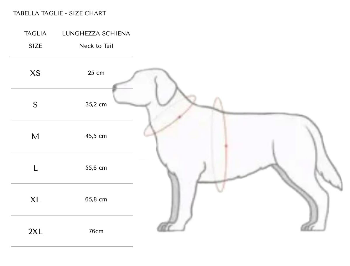 Guide des tailles