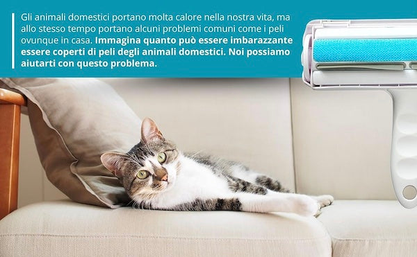 Spazzola elimina peli