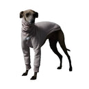 The Striped Dog - California - Maglioncini
