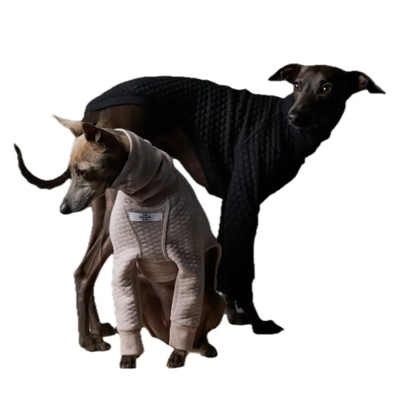 The Striped Dog - California - Maglioncini