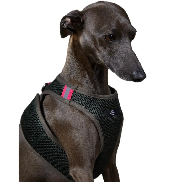 The Striped Dog - Chroma Verde Militare - Pettorine