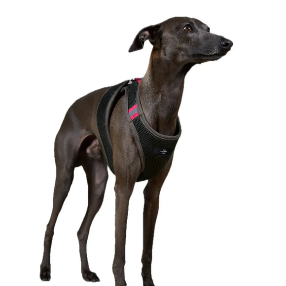 The Striped Dog - Chroma Verde Militare - Pettorine